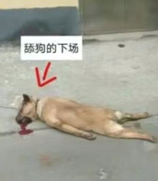 【交流】:鱼杂侧水混,水清侧鱼杂!游戏攻略_手游下载 第2张 【交流】:鱼杂侧水混,水清侧鱼杂!游戏攻略_手游下载 第2张
