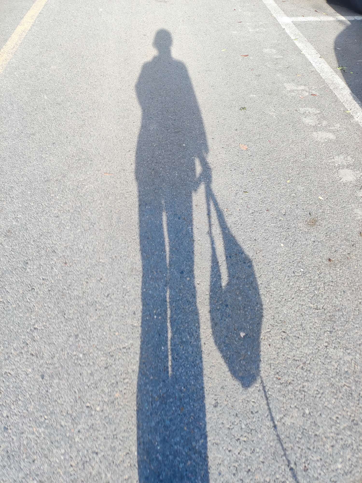 【王者女神】天杀的游戏攻略_手游下载  第4张