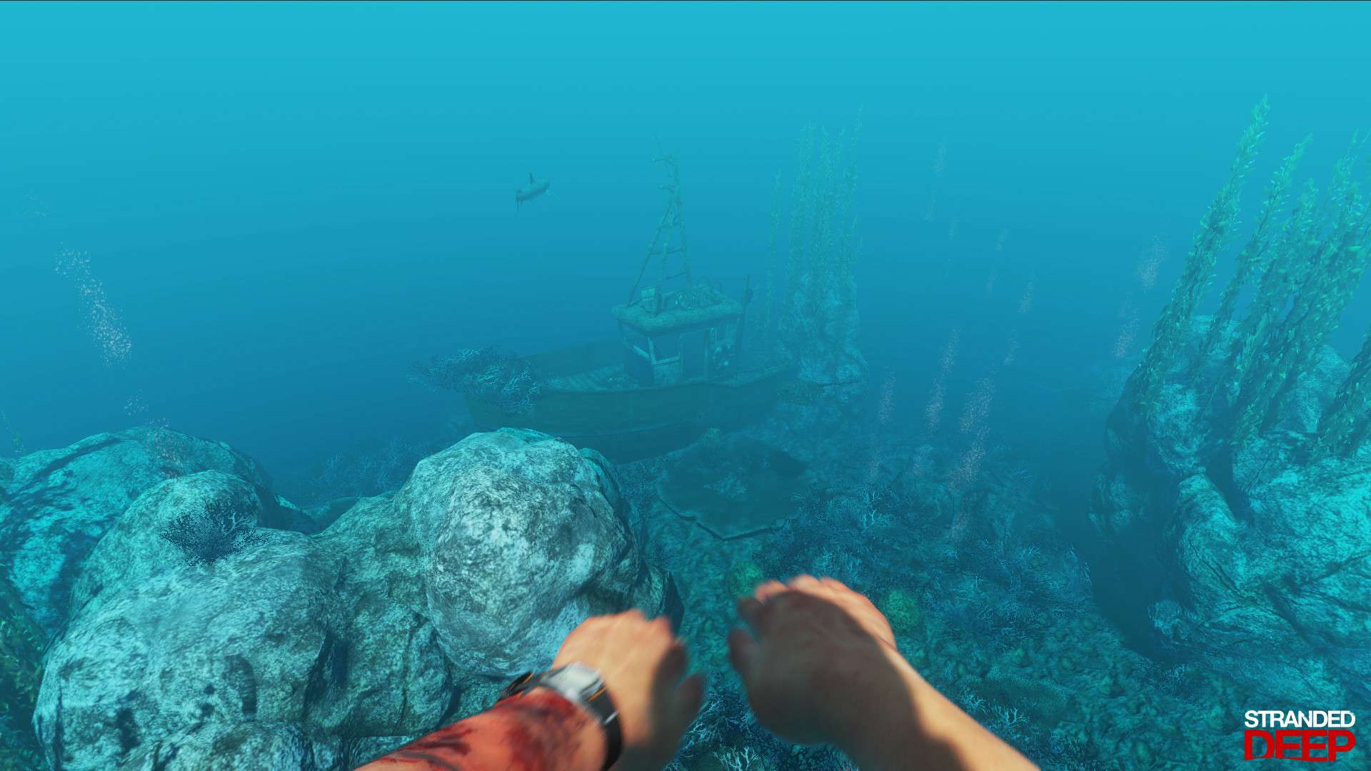 【端游推荐】荒岛求生 v1.0.31.0.25游戏攻略_手游下载 第5张 【端游推荐】荒岛求生 v1.0.31.0.25游戏攻略_手游下载 第5张