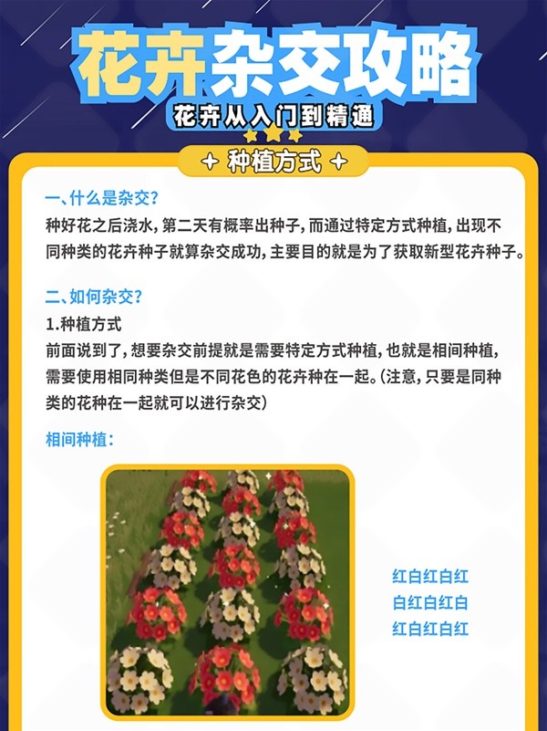 【快爆攻略】《心动小镇》中花卉应该如何杂交呢?游戏攻略_手游下载 第1张 【快爆攻略】《心动小镇》中花卉应该如何杂交呢?游戏攻略_手游下载 第1张