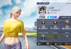 和平精英吃鸡秀游戏攻略_手游下载