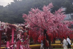 【王者女神】不认输，不服气游戏攻略_手游下载