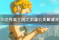【快爆攻略】《塞尔达传说王国之泪》蒲公英解谜攻略游戏攻略_手游下载