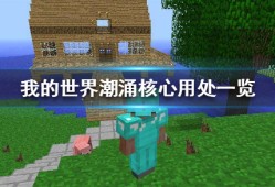 【MC爆肝组】《我的世界》潮涌核心有什么用 潮涌核心用处一览游戏攻略_手游下载