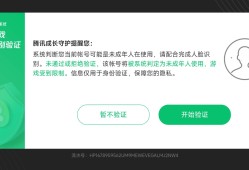 为什么每次上线都要重新验证下人脸游戏攻略_手游下载