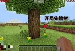 【MC教程组】我的世界新手怎么玩？我的世界大神常用10个小技巧现游戏攻略_手游下载