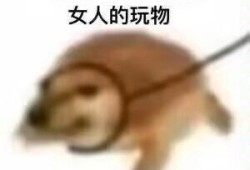 王者怎么提升实力变得更强游戏攻略_手游下载