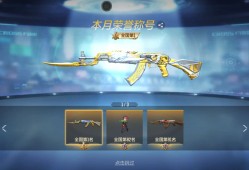 【闲聊】终于有个国一的武器称号了游戏攻略_手游下载