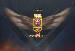 【闲聊】记录一下200级游戏攻略_手游下载
