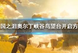 【快爆攻略】《塞尔达传说王国之泪》奥尔丁峡谷鸟望台怎么开启？游戏攻略_手游下载