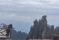 【王者女神】最累的居然是回去的大巴车游戏攻略_手游下载