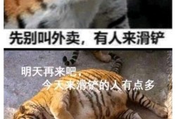 【交流】我说怎么碰到了打野没有打野逻辑，但是意识很好。游戏攻略_手游下载