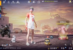 【交流】小趴菜在线蹲队友游戏攻略_手游下载