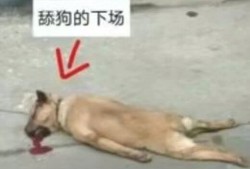 【交流】:鱼杂侧水混，水清侧鱼杂！游戏攻略_手游下载