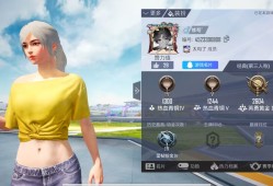 和平精英吃鸡秀游戏攻略_手游下载