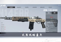 【资讯】职业哥教你打枪：刚枪节冲榜武器指北步枪篇游戏攻略_手游下载
