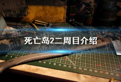 【快爆攻略】《死亡岛2》有二周目吗？ 二周目介绍游戏攻略_手游下载