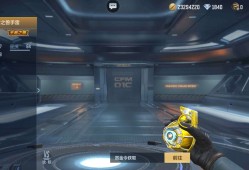 【闲聊】这个手雷都不叫王者手雷游戏攻略_手游下载