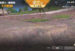 一把度假岛加2分游戏攻略_手游下载