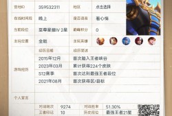 【交流】王者荣耀个人简历游戏攻略_手游下载