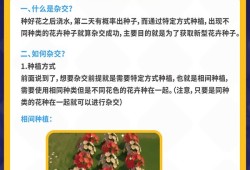 【快爆攻略】《心动小镇》中花卉应该如何杂交呢？游戏攻略_手游下载
