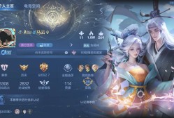 滴一个q区双排游戏攻略_手游下载