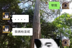 【闲聊】相隔4-6年找到以前的队友游戏攻略_手游下载