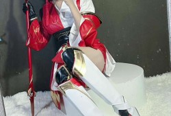 【王者美图】我自己把城墙垒高，又希望有人能不惧险阻越过城墙来爱我游戏攻略_手游下载