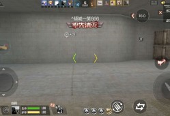 【闲聊】卡bug，真是服了游戏攻略_手游下载