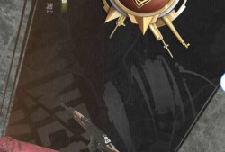 PUBG手游国际服有没有一起的游戏攻略_手游下载