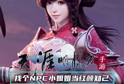 天涯明月刀手游攻略npc，天涯明月刀手游攻略在哪里看