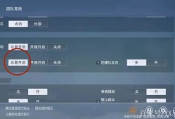 和平精英能隐身上线吗(和平精英能隐身上线吗知乎)