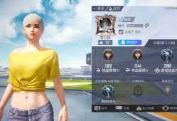 【chicken 秀】和平精英游戏攻略_手游下载