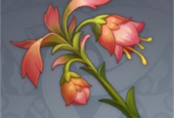 【攻略分享】《原神》悼灵花在哪里买？ 悼灵花npc位置游戏攻略_手游下载