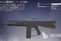 【攻略】和平精英AA12G怎么样游戏攻略_手游下载