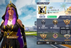 【交友】四个号都王牌了，找水友一起双排上王牌游戏攻略_手游下载