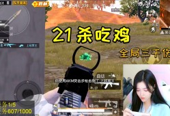 吃鸡和平精英视频，吃鸡和平精英视频下载