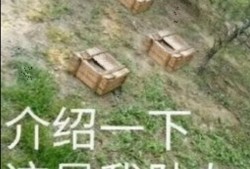 【攻略】和平精英：论狙击手的个人修养（上）游戏攻略_手游下载
