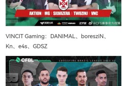 【资讯】VASCO ESPORTS逆转战胜VINCIT Gami游戏攻略_手游下载