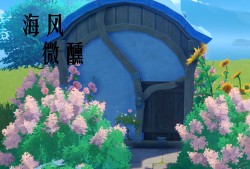 原神海螺屋位置，原神20海螺屋