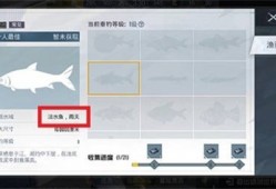 【攻略】和平精英绿洲世界什么时候下雨游戏攻略_手游下载