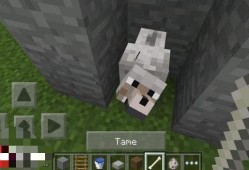 【MC教程组】我的世界:狼详解 怎么驯服狼游戏攻略_手游下载