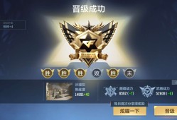 【闲聊】终于晋级了游戏攻略_手游下载