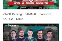 【资讯】VASCO ESPORTS直落两局战胜VINCIT Ga游戏攻略_手游下载