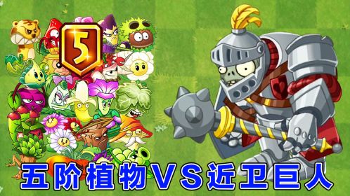植物大战僵尸2全植物5阶(植物大战僵尸2全植物5阶内购版)  第1张