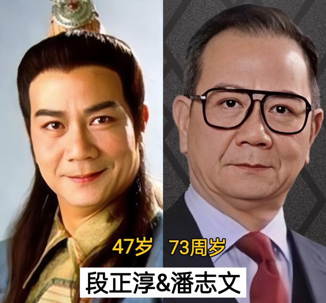 天龙八部演员表，天龙八部演员表杨佑宁版  第2张