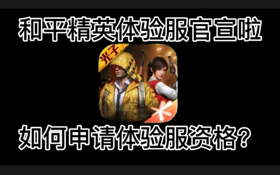 和平精英体验服资格申请_和平精英体验服资格申请时间  第2张