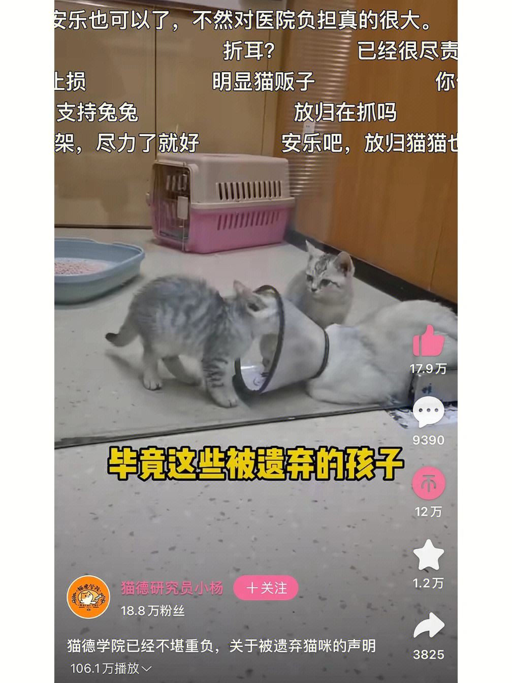 剑网三吧猫德学院(剑三猫猫能有什么坏心眼)  第1张