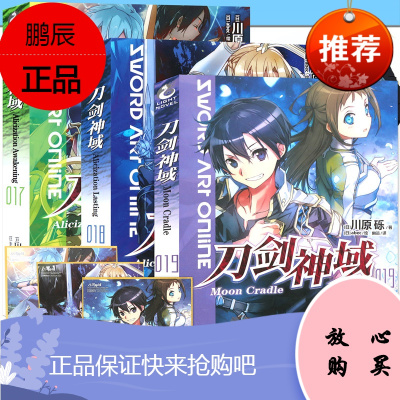 刀剑神域16.5章小说(刀剑神域165章小说在线观看)  第1张