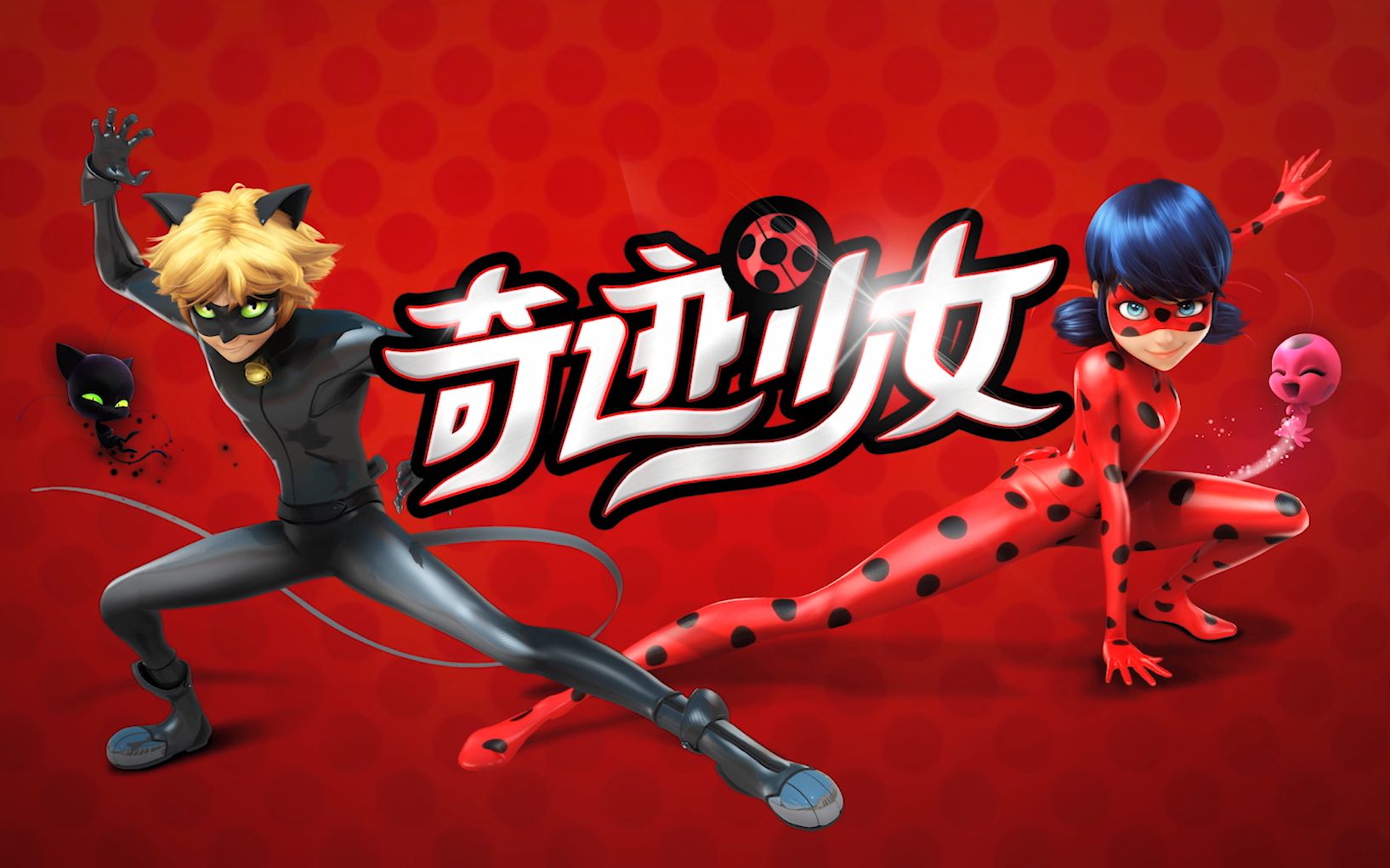 奇迹少女_奇迹少女和黑猫罗尔互告身份是第几集  第2张
